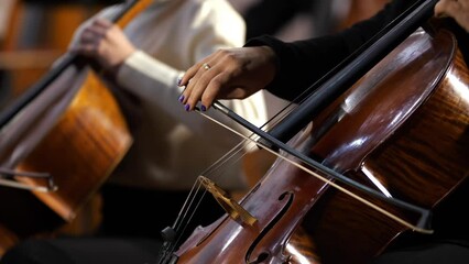 symphony orchestra concert female musician playing cello close-up
concept of developing musical taste classical music
playing stringed classical musical instruments
talented people in art