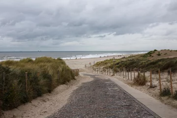 Papier Peint photo Lavable Mer du Nord, Pays-Bas Dune en mer du Nord, Pays-Bas. Chemin vers le bord de mer
