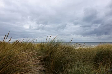 Zelfklevend Fotobehang Grass in the dunes, North Sea, Netherlands  © 8H