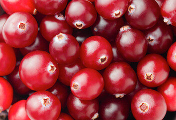 background of fresh cranberries, top view