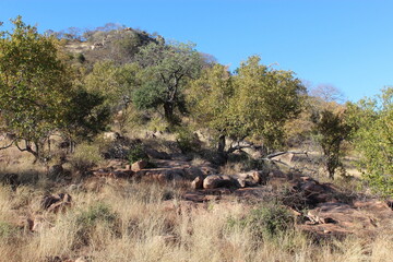 Krügerpark - Shibavantsengele Lookout / Kruger Park Shibavantsengele Lookout /