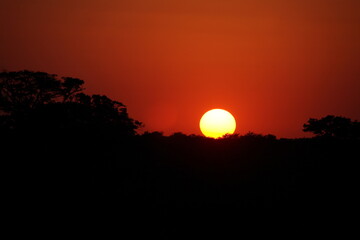 Sonnenuntergang - Krüger Park Südafrika / Sundown - Kruger Park South Africa /