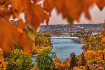 Fall Leaves Framing The Calgary River Valley