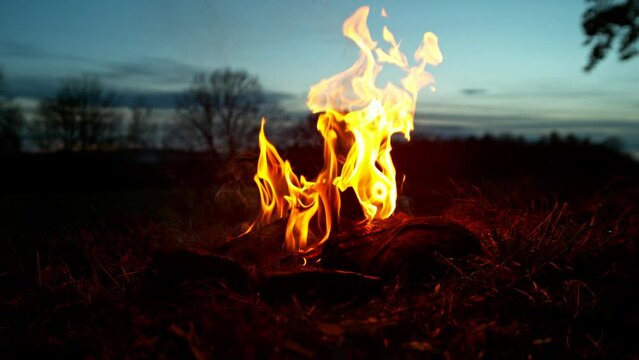 Super slow motion of campfire placed on a meadow. Filmed on high speed cinema camera.