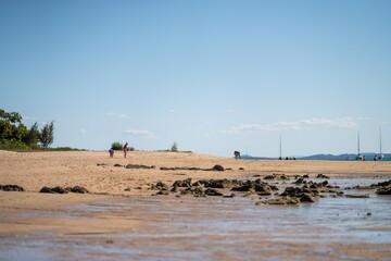 Fototapeta na wymiar tourists on a tropical beach in queensland australia