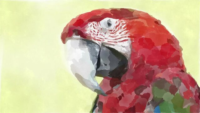 Watercolor art video of a wonderful red parrot. Animation, rotoscope, animal world, beautiful bird, watercolor painting