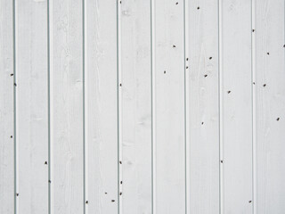 Lots of flies. Flies bask in the sun on the wall of the house.