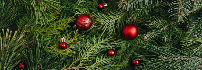Banner made of evergreen tree branches and red Christmas balls. Winter nature New Year concept. Flat lay, top view, copy space.