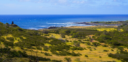 Grassy landscape around the Kaiwi shoreline trail near Alan Davis beach on the eastern side of Oahu island in Hawaii, United States