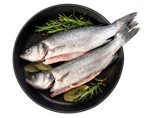 PNG. Sea bass fish. Two peeled raw sea bass, spices and rosemary branches in a skillet