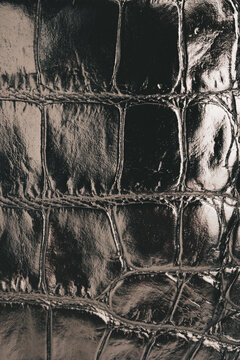 Closeup detail of silver leather texture background.