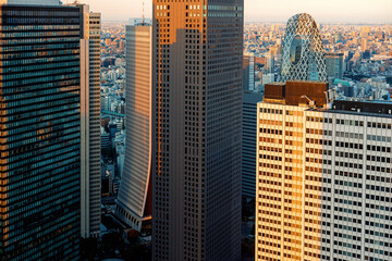Skyscrapers towering over the cityscape of Nishi-Shinjuku, Tokyo, Japan at sunset