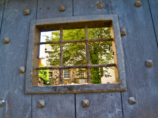 View through defocused door grill to outdoors and green tree