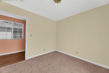 Bedroom with carpet and walls