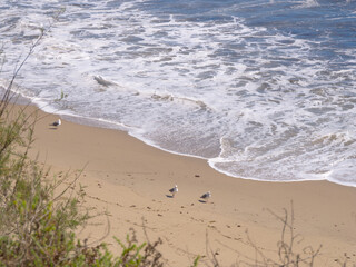 Beach in Malibu, California, USA
