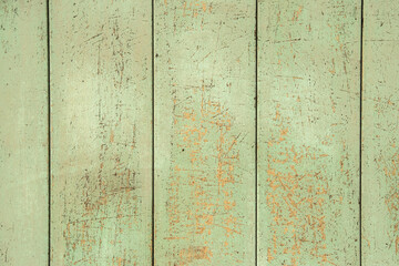 Old weathered faded paint wooden board garden wall closeup as green grunge background