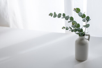 窓辺　植物　光　シンプル　インテリア　背景