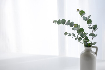 窓辺　植物　光　シンプル　インテリア　背景