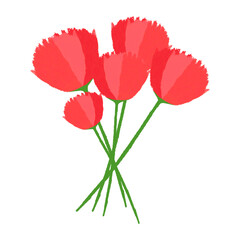 Fototapeta premium 카네이션 carnation