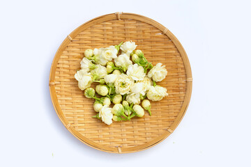 Jasmine flower on white background.