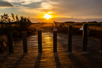 Sunset