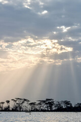 Sunbeams on the shore of Lake Naivasha in Kenya