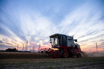 The combine is harvesting the wheat in the evening
