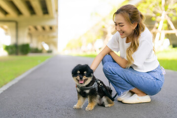 Naklejka na ściany i meble Happy young asian woman playing and sitting on road in the park with her dog. Pet lover concept