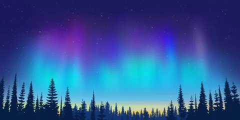 Foto auf Alu-Dibond Aurora borealis and forest on the horizon, northern lights and stars, winter holiday illustration © Valerii
