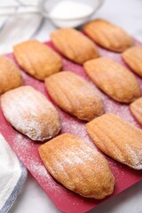 Delicious madeleine cookies in baking mold on white table, closeup