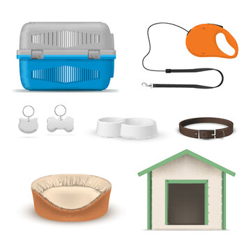 Pet equipment set realistic vector illustration. Domestic animal accessory