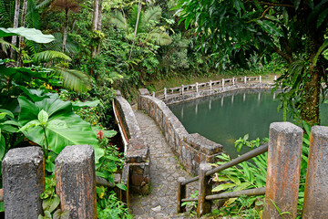 Stone bridge walkway in El Yunque Rainforest on the island of Puerto Rico, the only tropical rain...