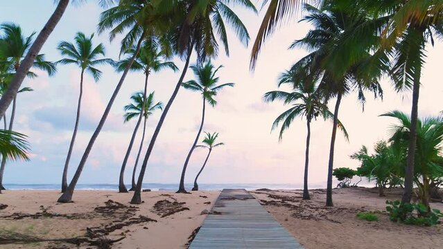 Morning on the Maldives palm beach. Green palm trees against the background of pink clouds of the dawn sky. Wooden path to the sea on the sand. Landscape of the sea coast of a tropical island.