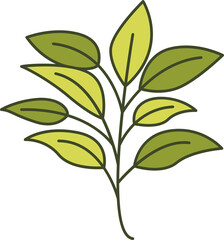 decorative leaves illustration