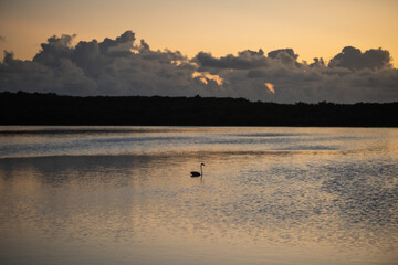 Obraz na płótnie Canvas sunrise over the lagoon - the bahamas