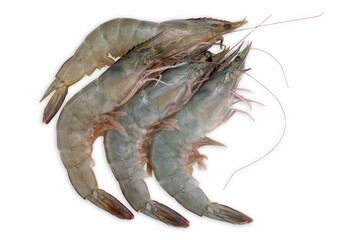 Banana prawn on white background, White shrimp on white with clipping path.