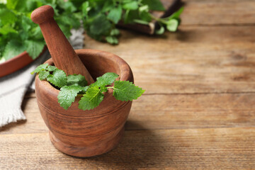 Mortar with pestle and fresh lemon balm on wooden table, space for text