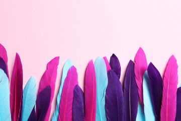 Bright feathers on pink background, flat lay. Space for text