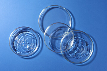 Petri dishes with liquids on blue background, flat lay