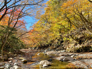 鈴鹿山脈　紅葉