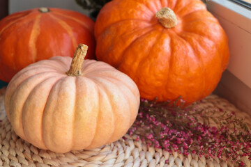 Pumpkins and beautiful heather flowers near window, closeup