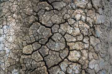 Dry soil surface with deep cracks textured background. Dried and cracked soil. Climate change....
