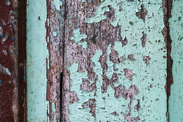 Colorful craquelure of the delaminated paint on wooden door background. Wooden texture background with old paint peels. Weathered wood. Cracked old paint with several layers. Shabby wooden wall.