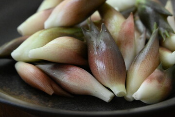 たくさんの茗荷