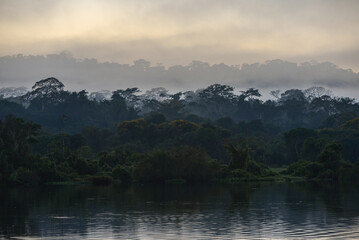 A misty morning on the rainforest-lined banks of the Guaporé-Itenez river, near Ilha das Flores, Rolim de Moura do Guaporé, Rondonia, on the border with Beni Department, Bolivia