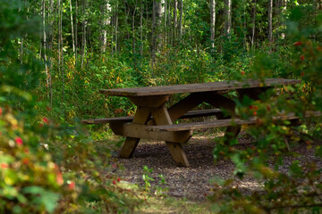 Rustic wooden picnic table with benches in shade of the forest.