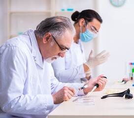 Obraz premium Two chemists working in the lab