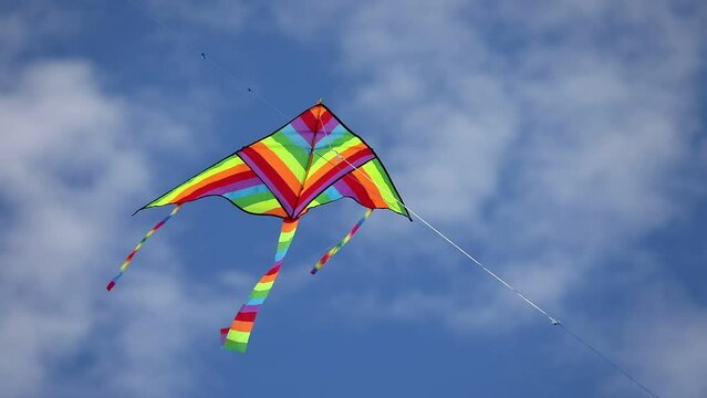 kite flies on the blue sky