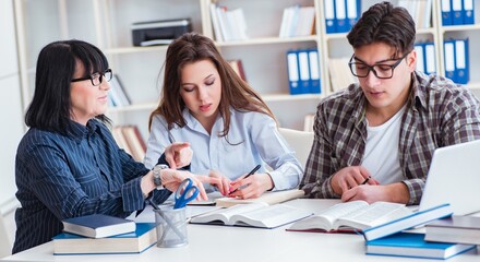 Young student and teacher during tutoring lesson