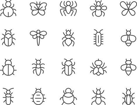 Insect line icons set.